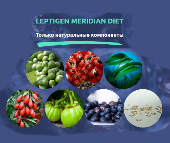 leptogen meridian diet отзывы